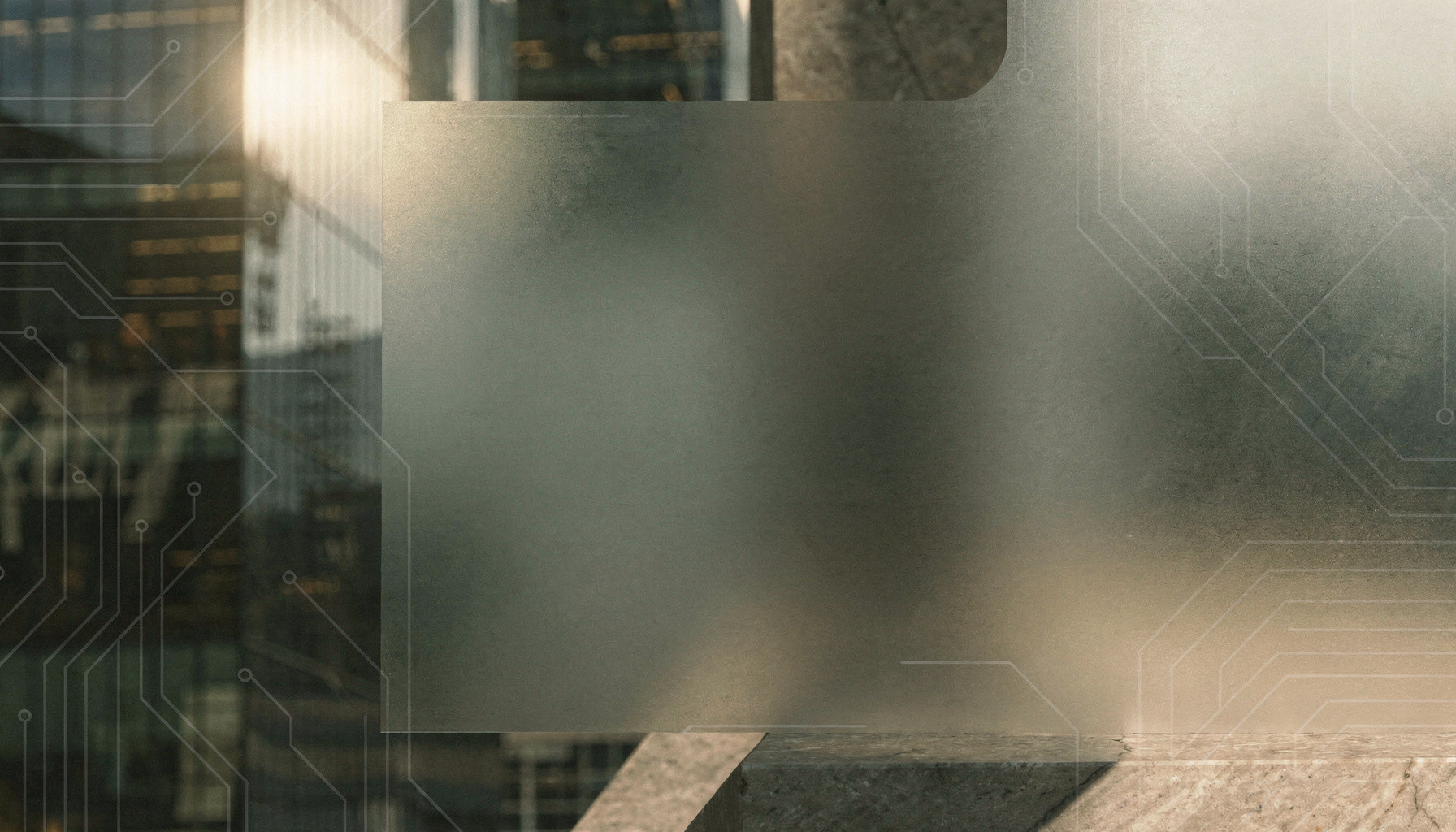 Ashley Wilder San Diego website preview